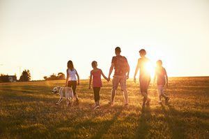 Family walking with a dog through a sunlit field at sunset