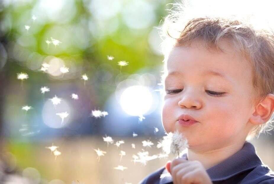 A small child in a park is blowing on a dandelion.