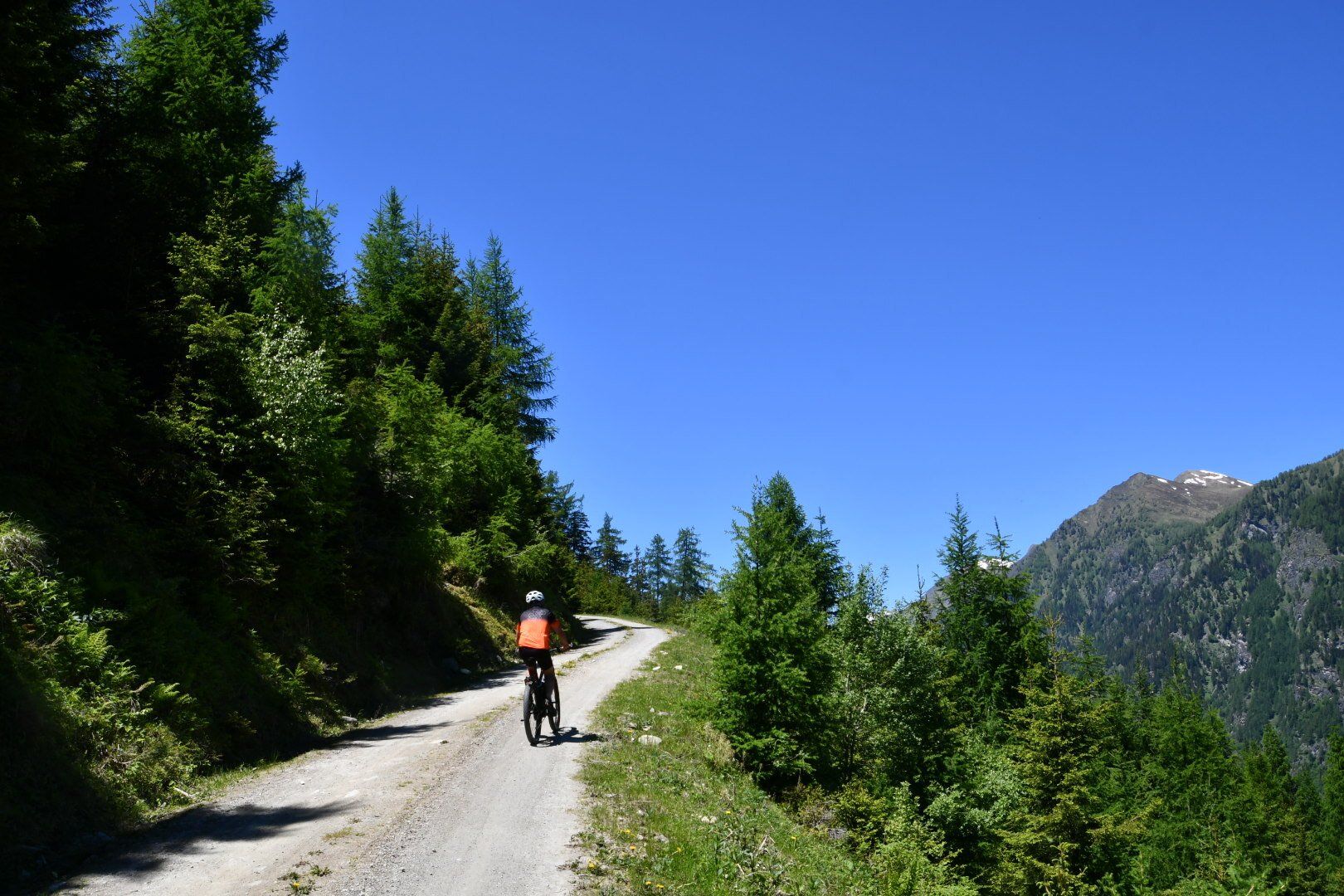 Mountain scenery in summer