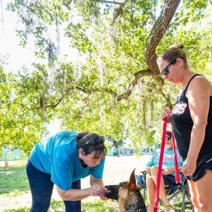 Two women are petting a dog in a park.