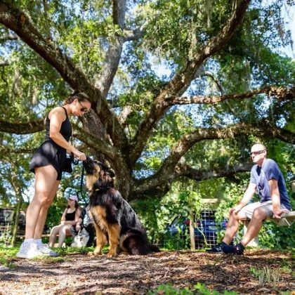 A woman is petting a dog in a park while a man sits on a bench.