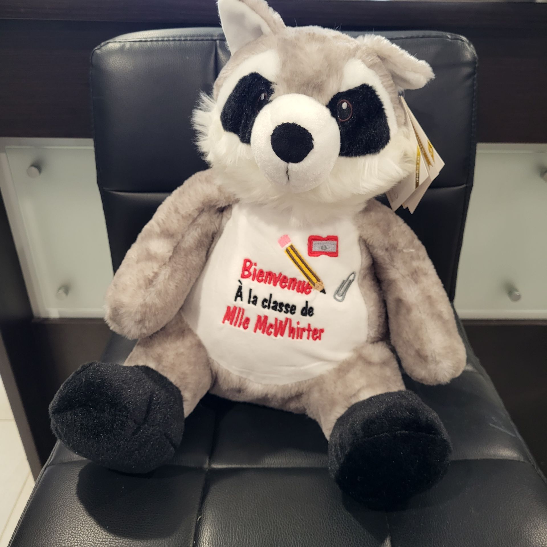 Stuffed raccoon with embroidered text