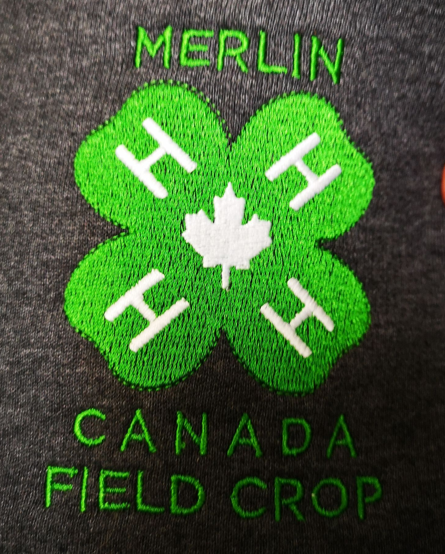 Embroidered 4-H emblem, with green clover and white 