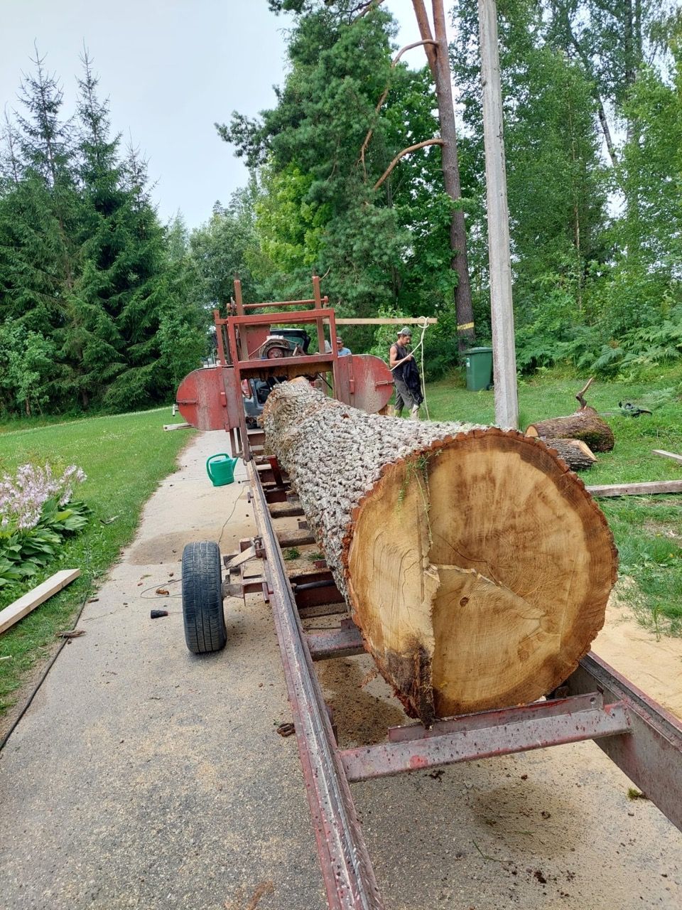 Log splitter carrying a large log on a gravel path in a wooded yard, with trees and lawn nearby