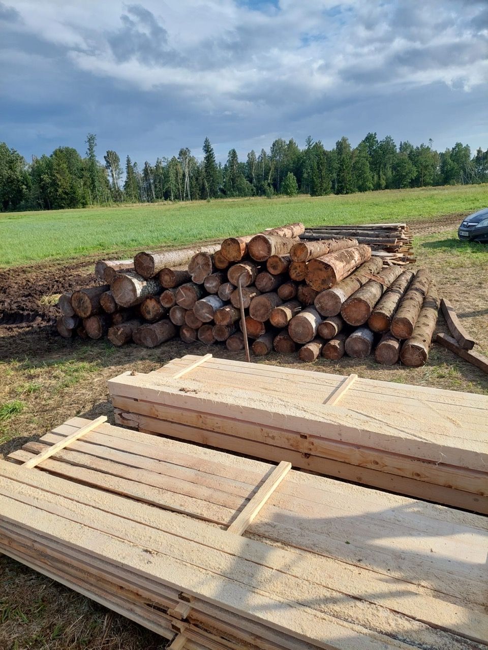 Stacked lumber and cut logs in a field under a cloudy sky