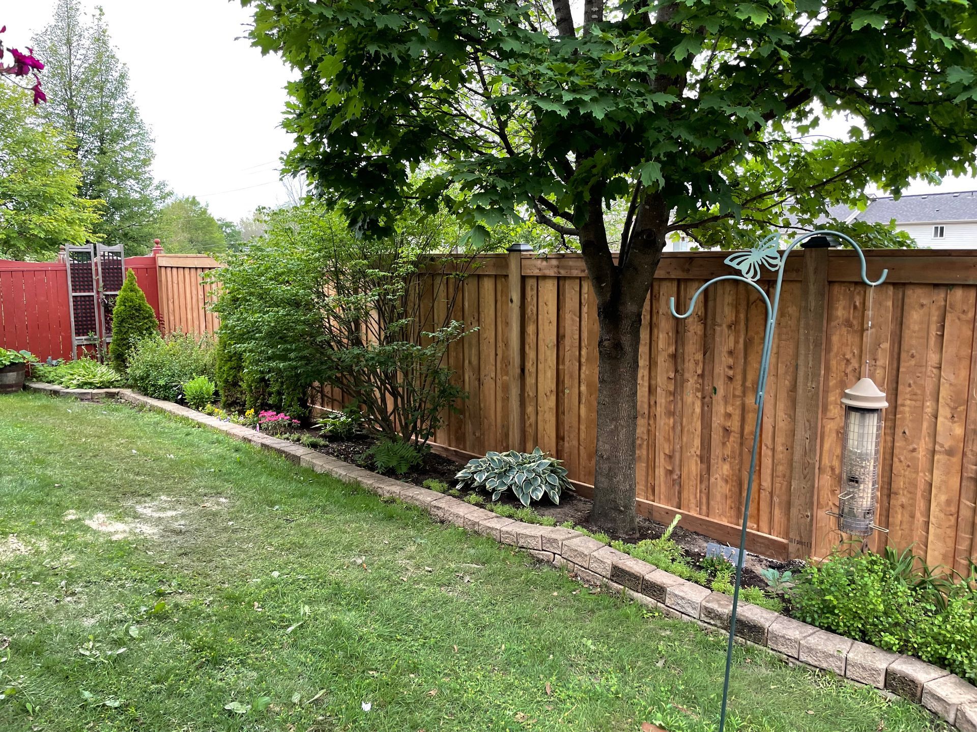 A wooden fence surrounds a lush green lawn in a backyard.
