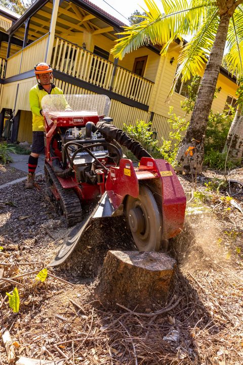 professional stump grinders
