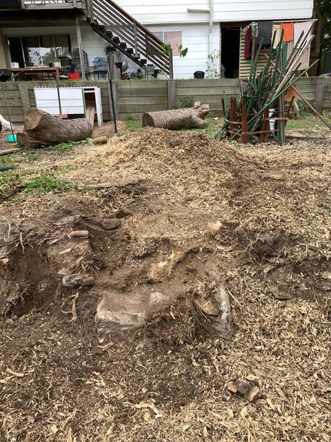 professional stump grinders