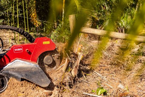 residential stump removal services