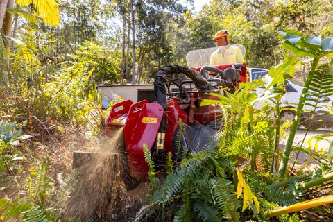 residential stump removal services