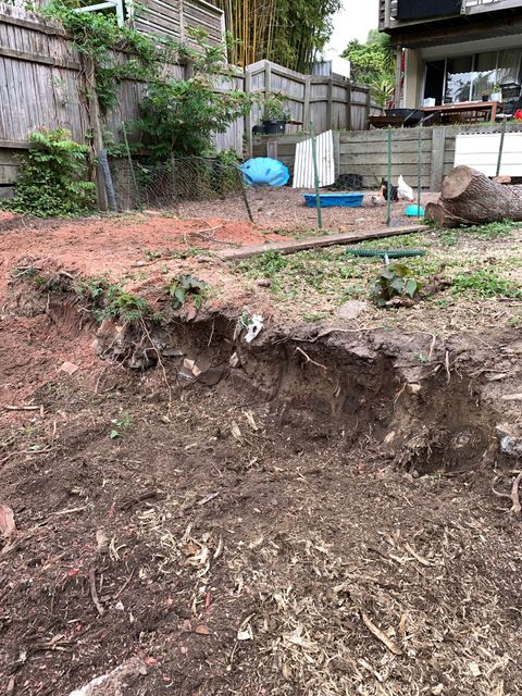 professional stump grinders