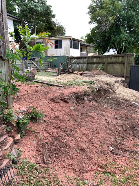 residential stump removal services