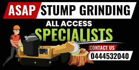 ASAP Stump Grinding Gold Coast