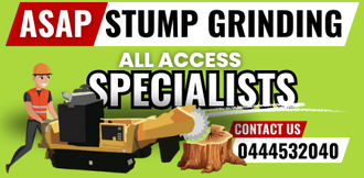 ASAP Stump Grinding Gold Coast