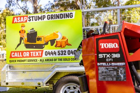 ASAP Stump Grinding