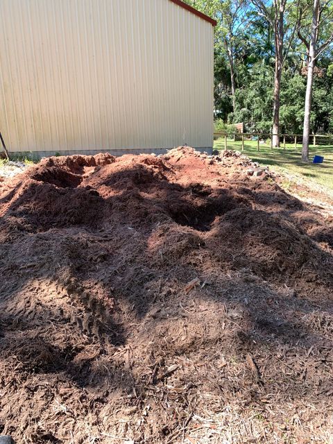 stump grinding Gold Coast