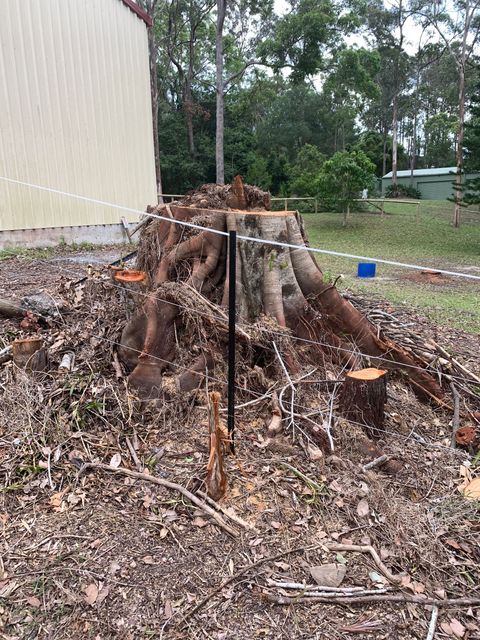 stump grinding Gold Coast
