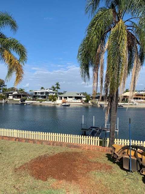 stump grinding Gold Coast