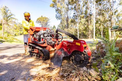 Stump Grinding Services 