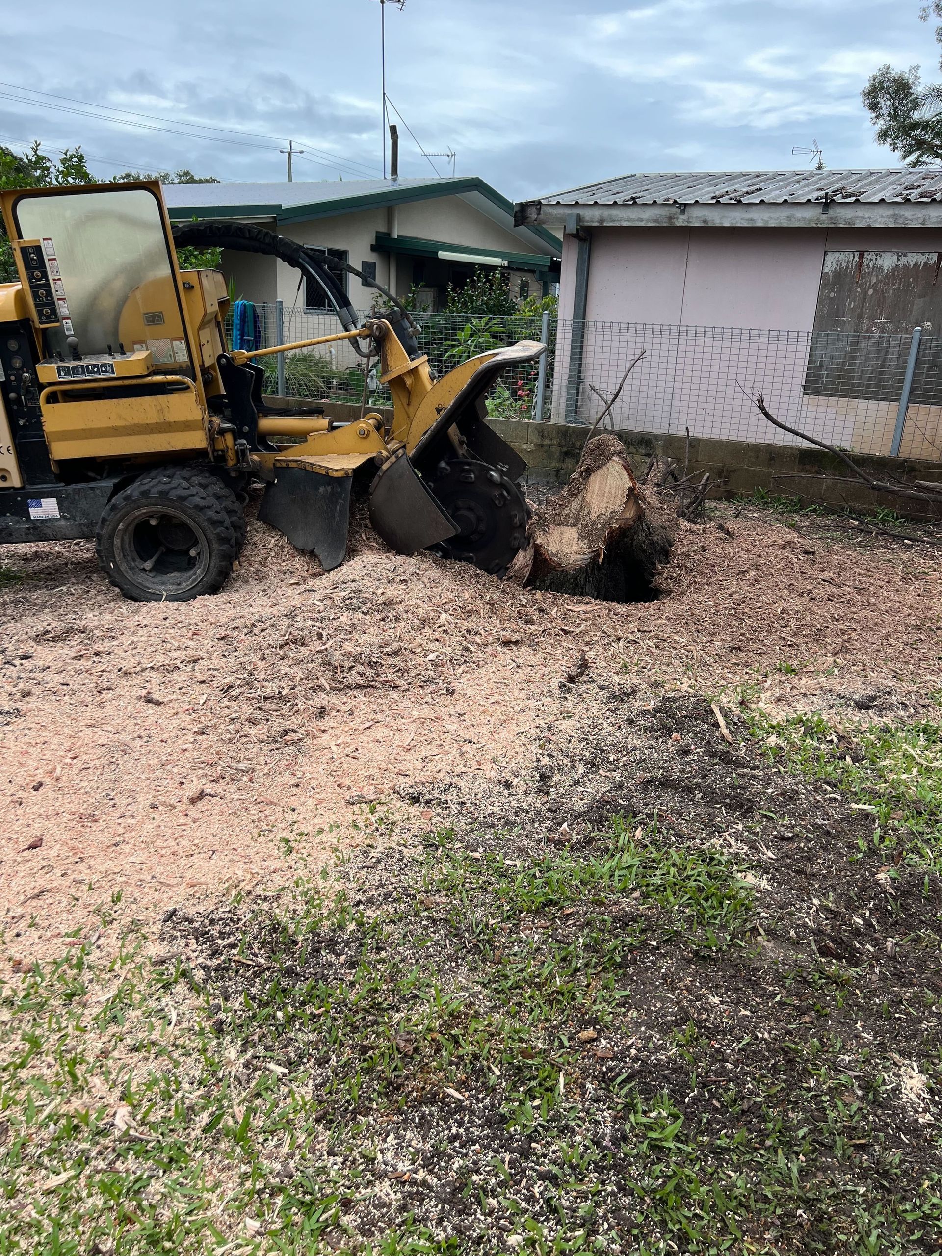 tree stump removal
