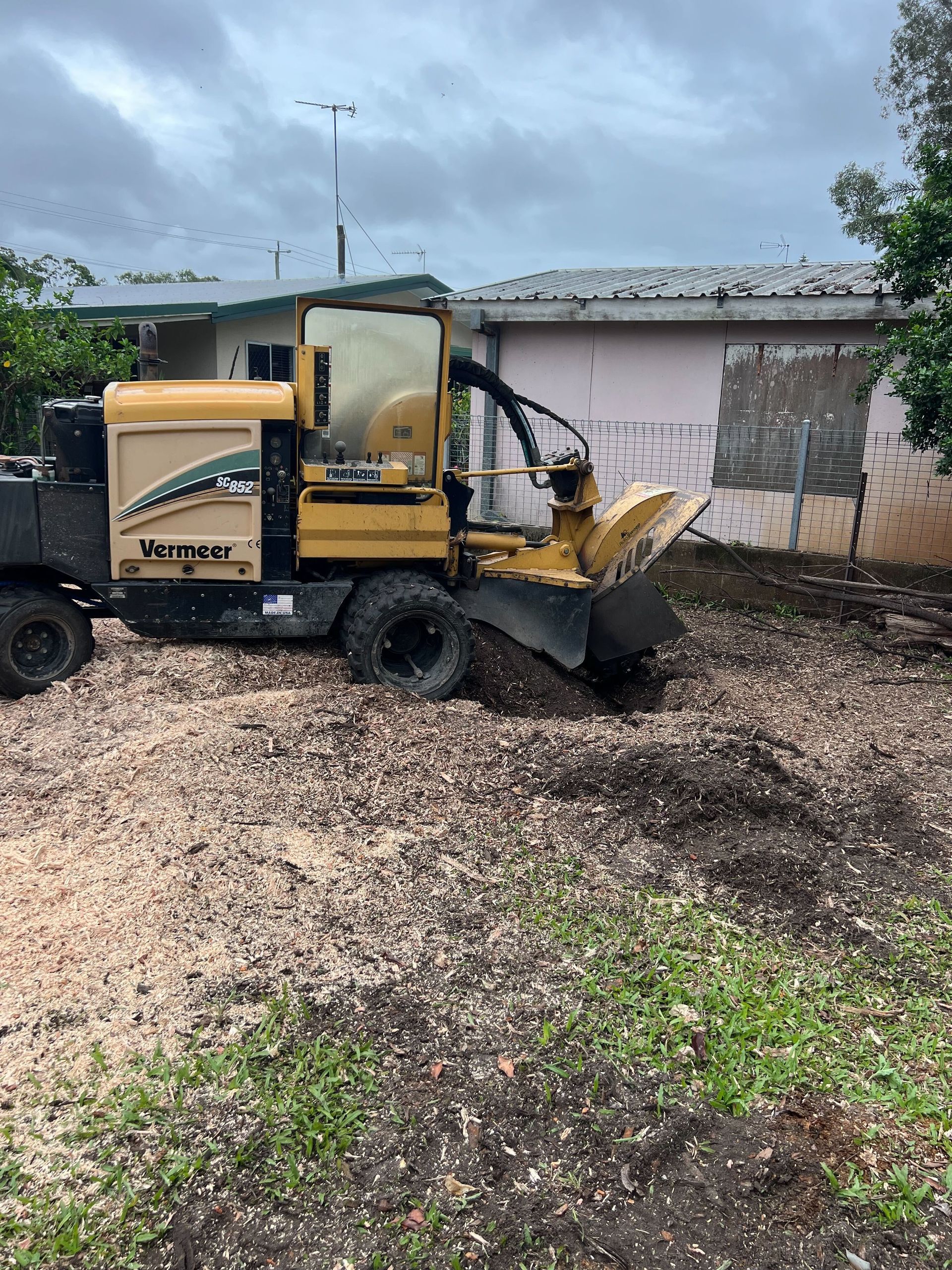 tree Removal service