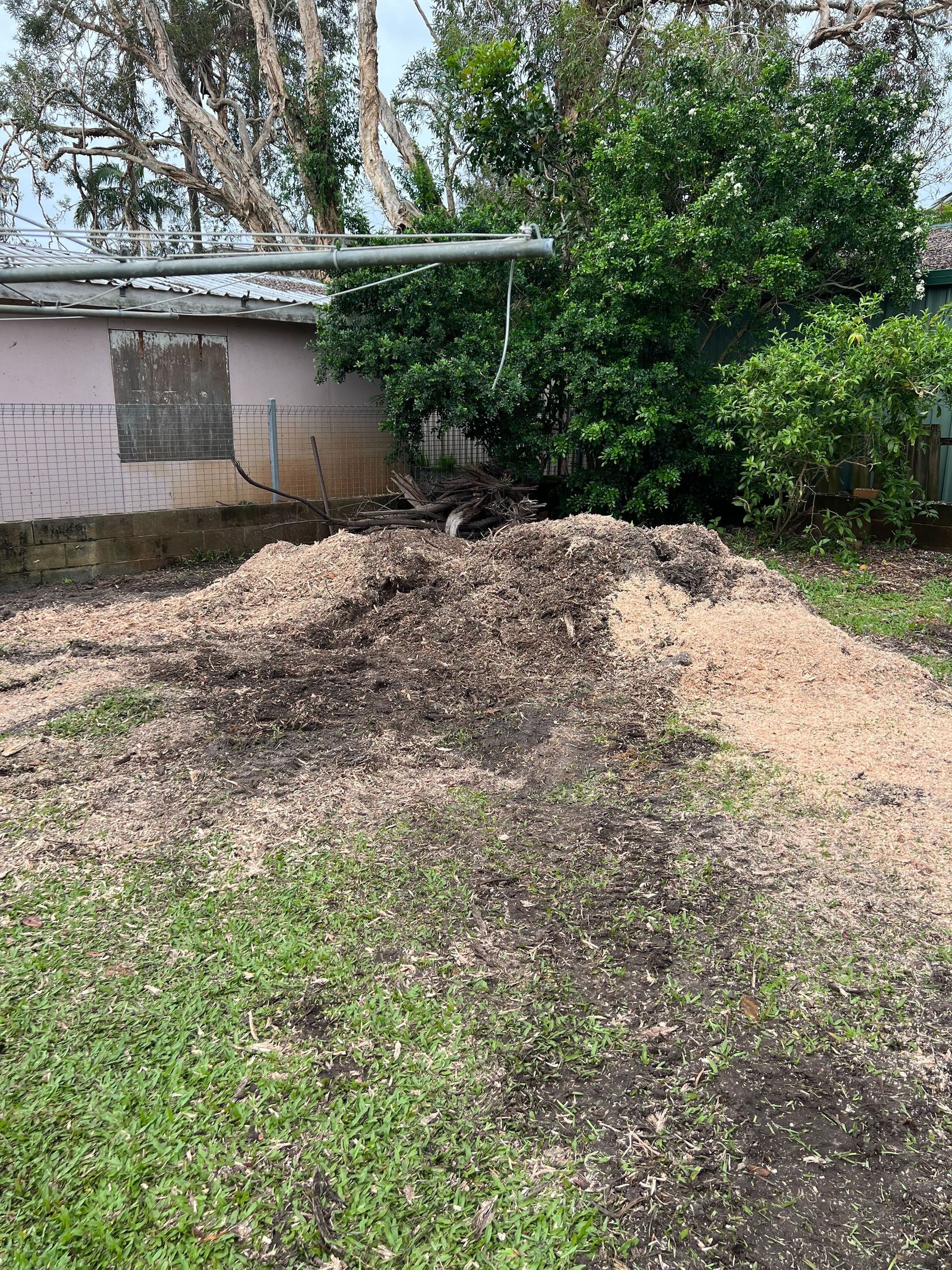 Fallen trees Removal service