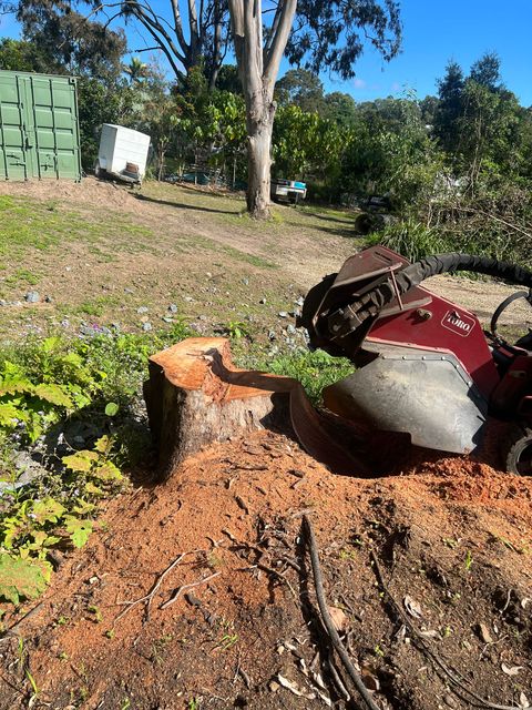 professional stump grinders