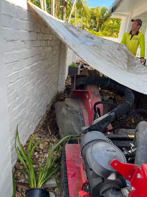 stump grinding Gold Coast