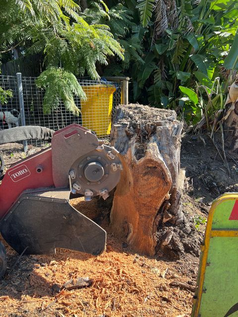 stump grinding Gold Coast