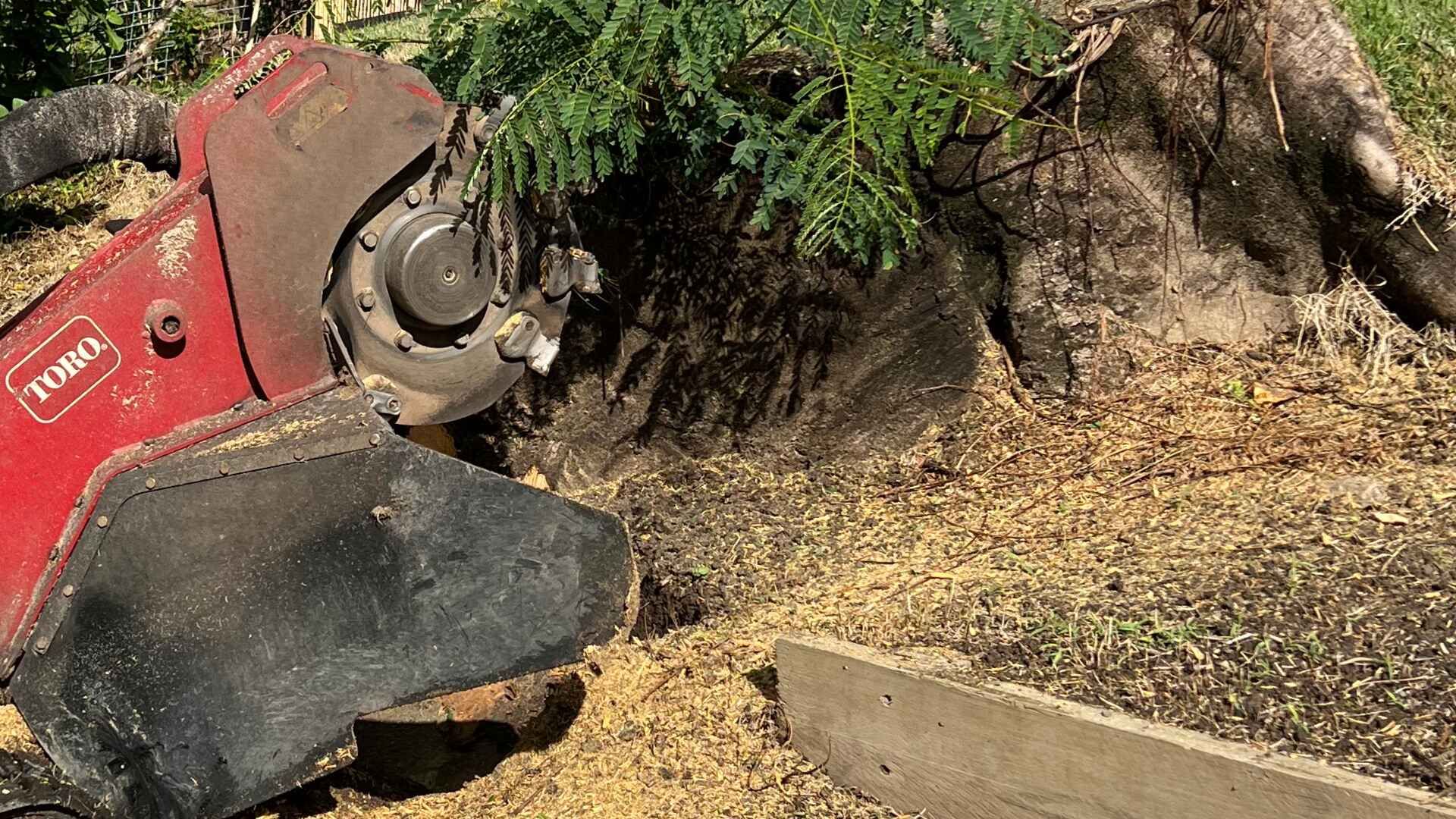 stump grinding Gold Coast