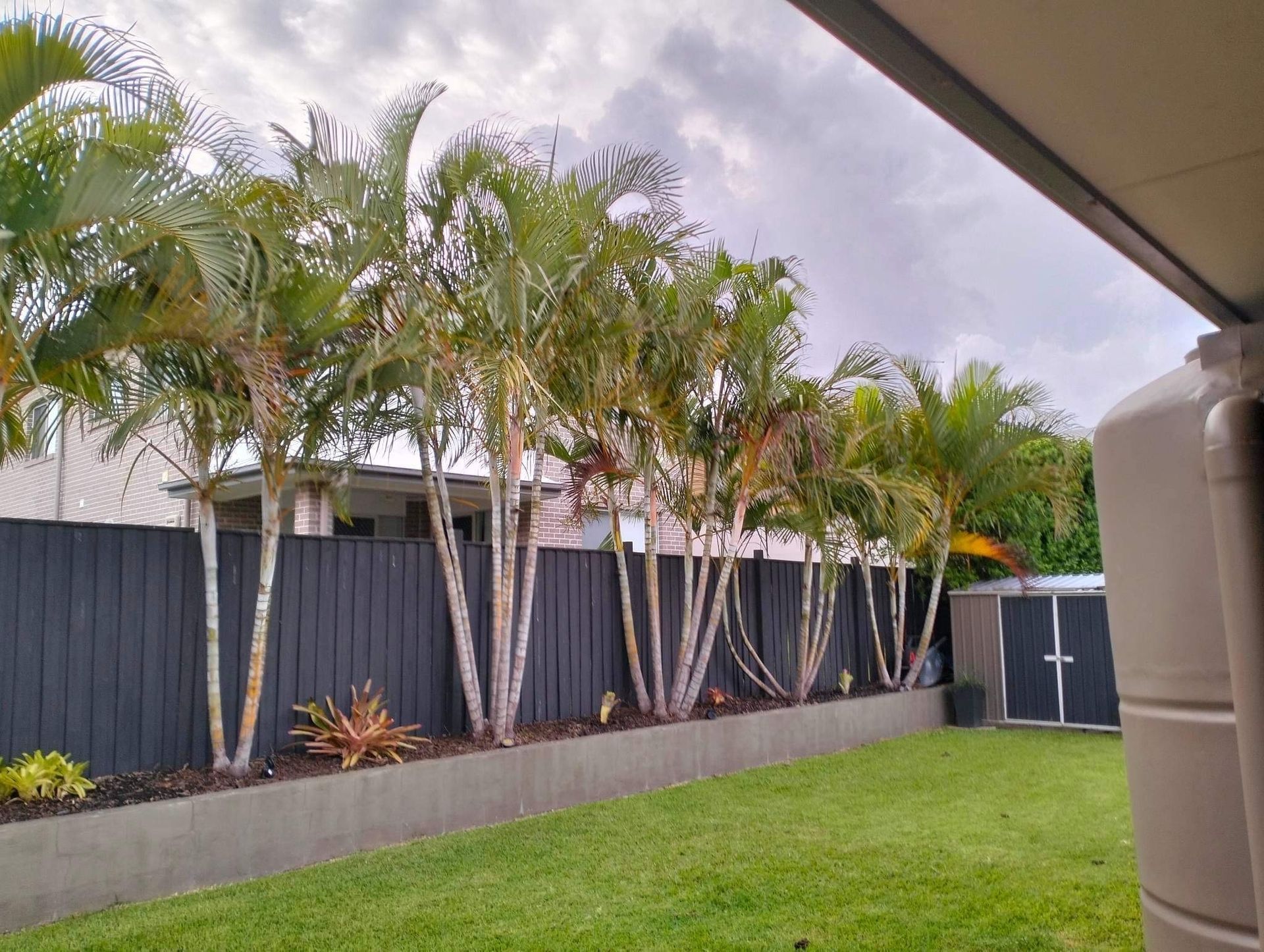 stump grinding Gold Coast