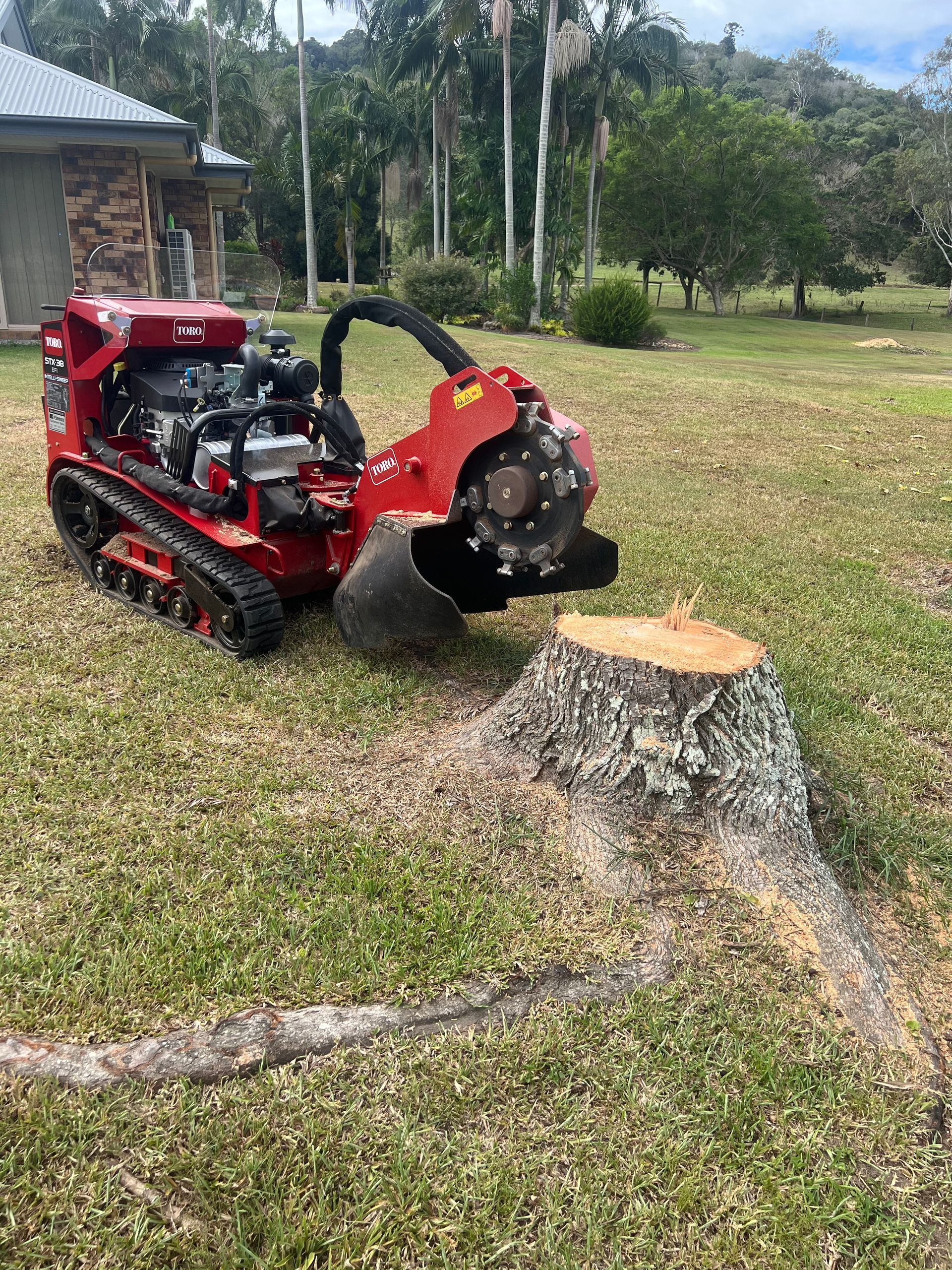 Stump removal Gold Coast