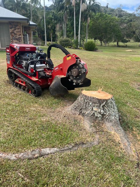 residential stump removal services