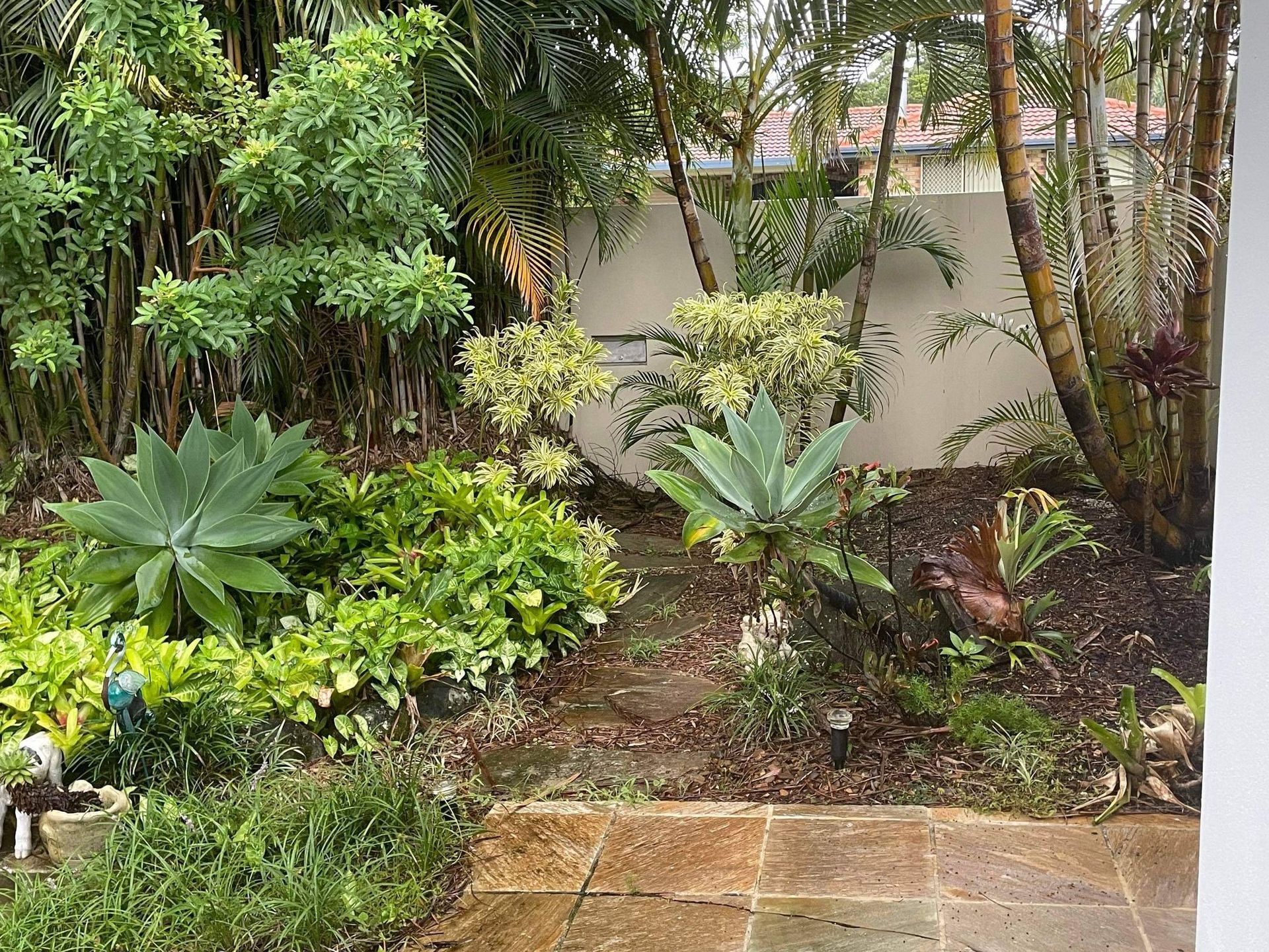 Palm Removal Runaway Bay