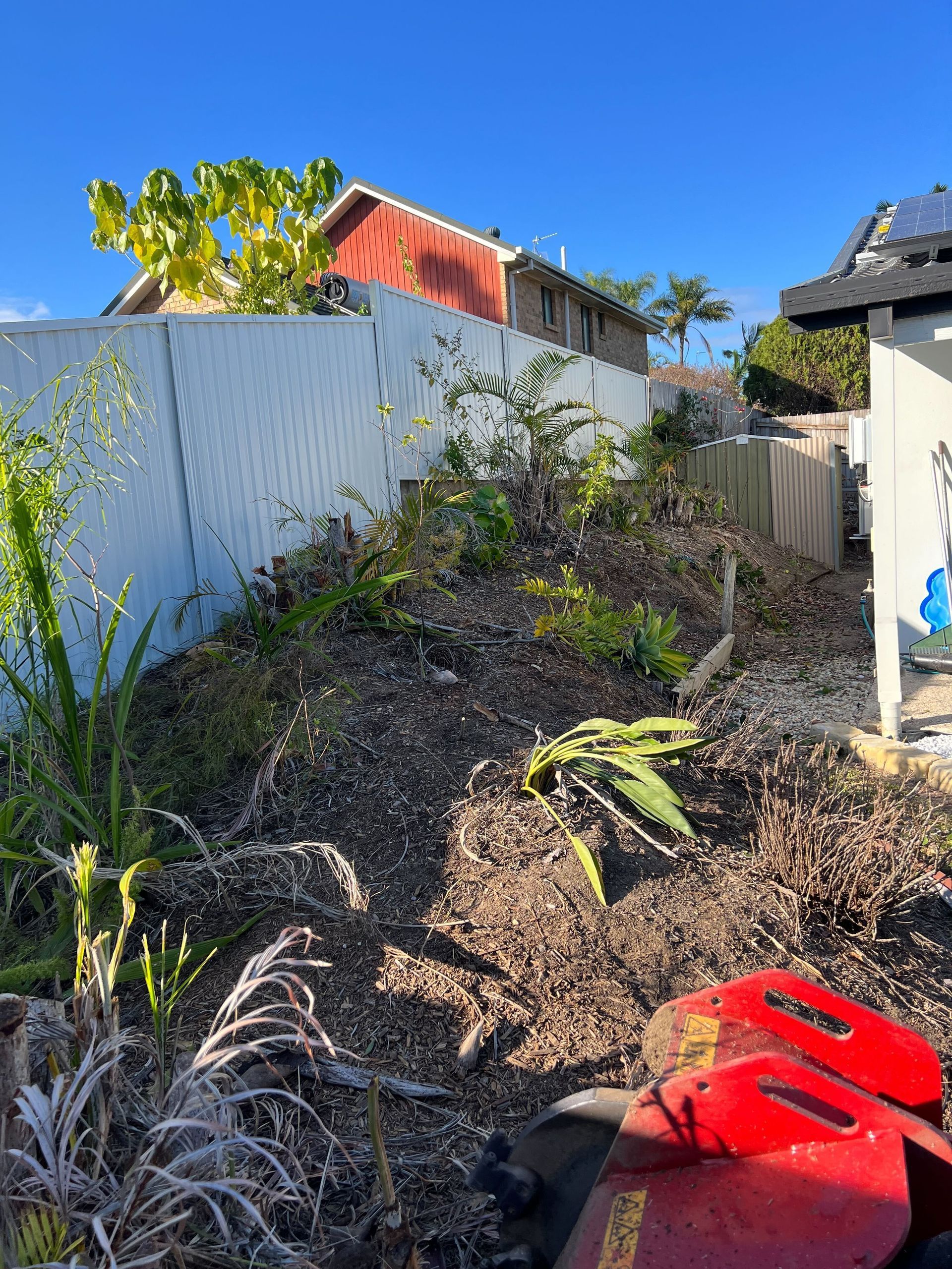 stump grinding Gold Coast