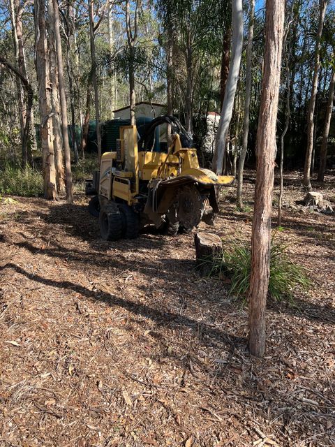 commercial stump grinding specialists