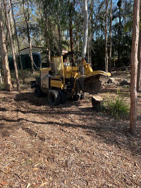 commercial stump grinding specialists