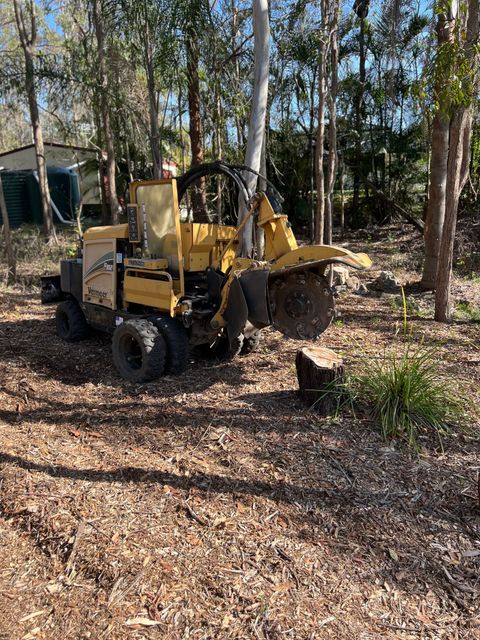 residential stump removal services