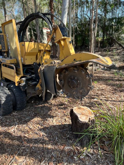 residential stump removal services