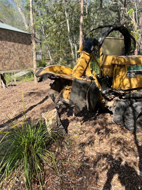 residential stump removal services