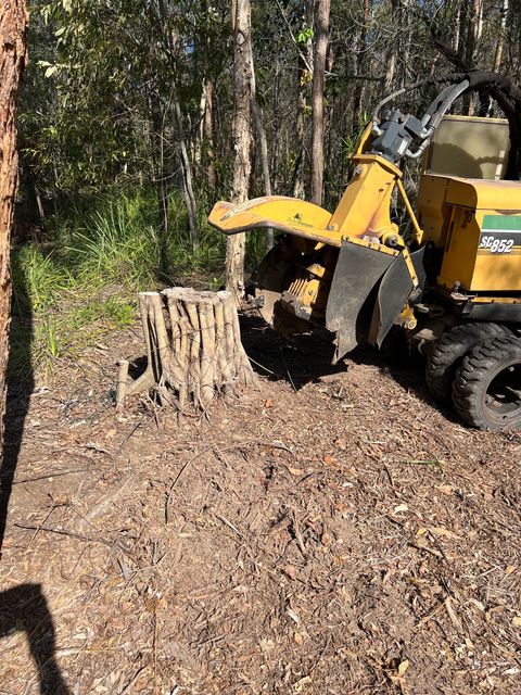 commercial stump grinding specialists