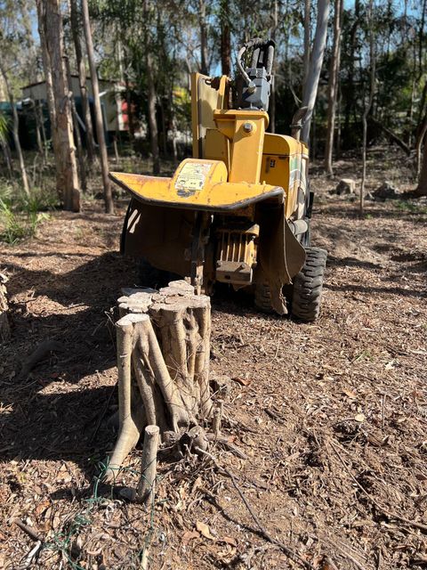 commercial stump grinding specialists