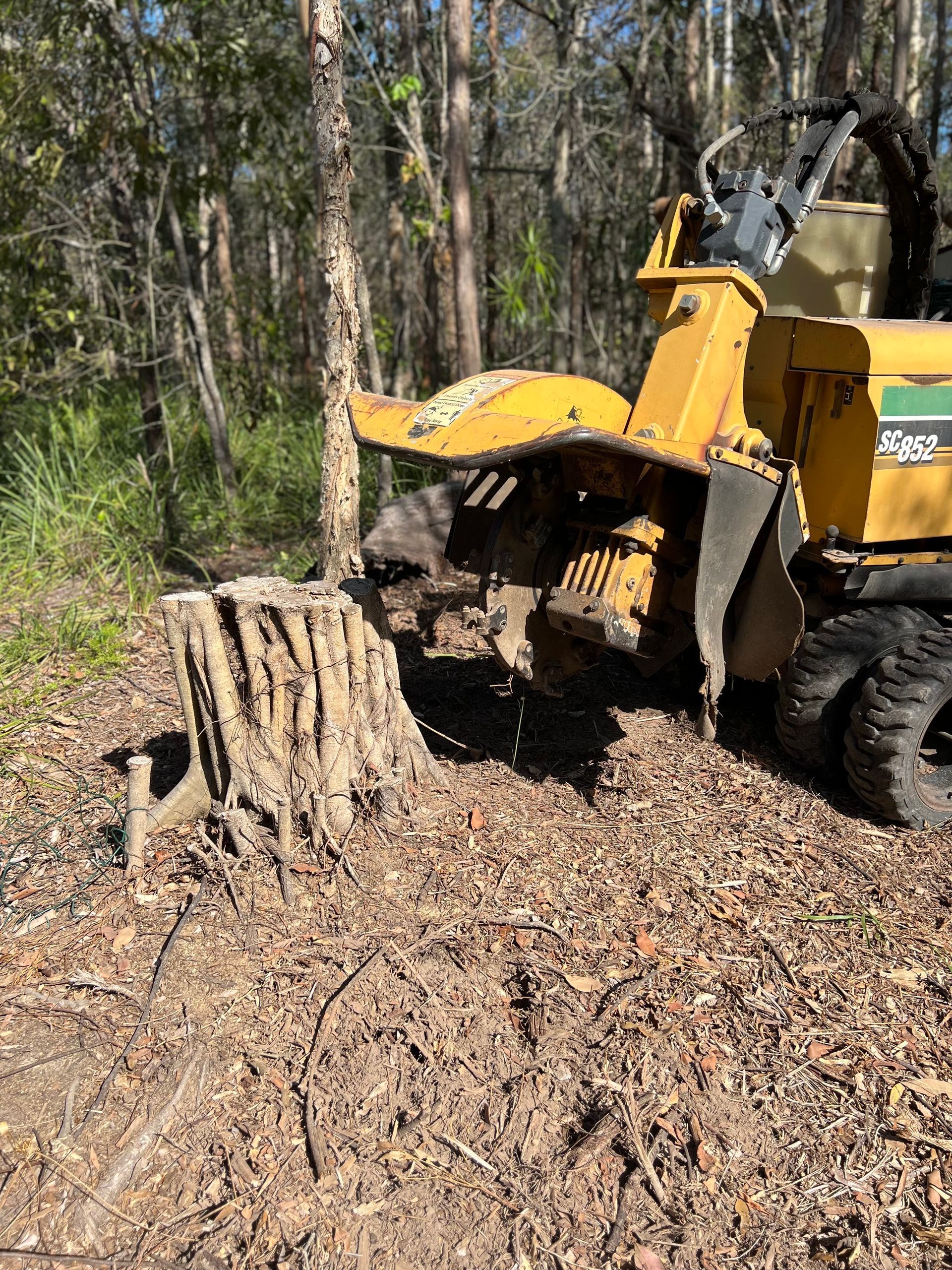 stump grinding Gold Coast