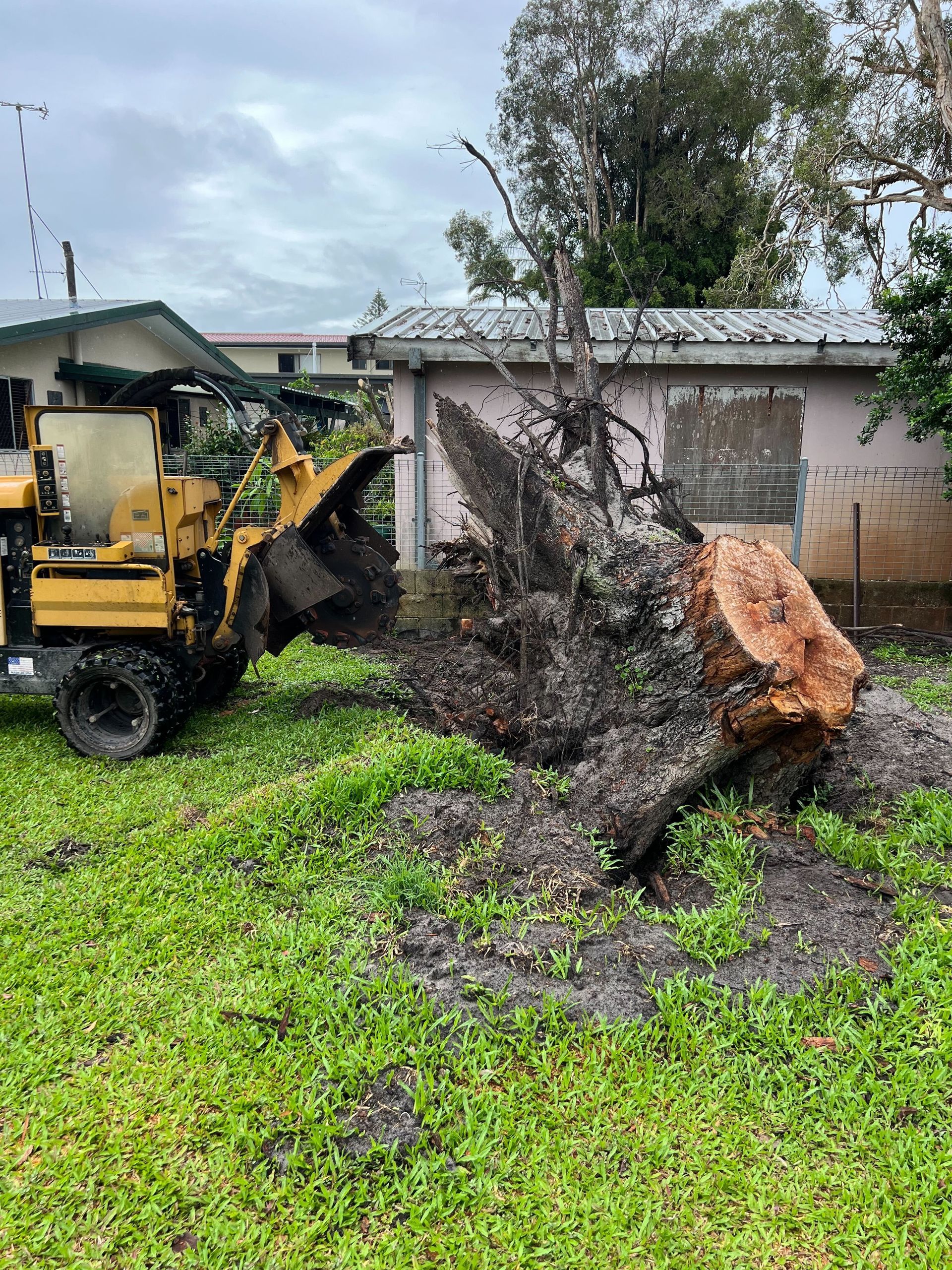 are fallen trees covered by homeowners insurance