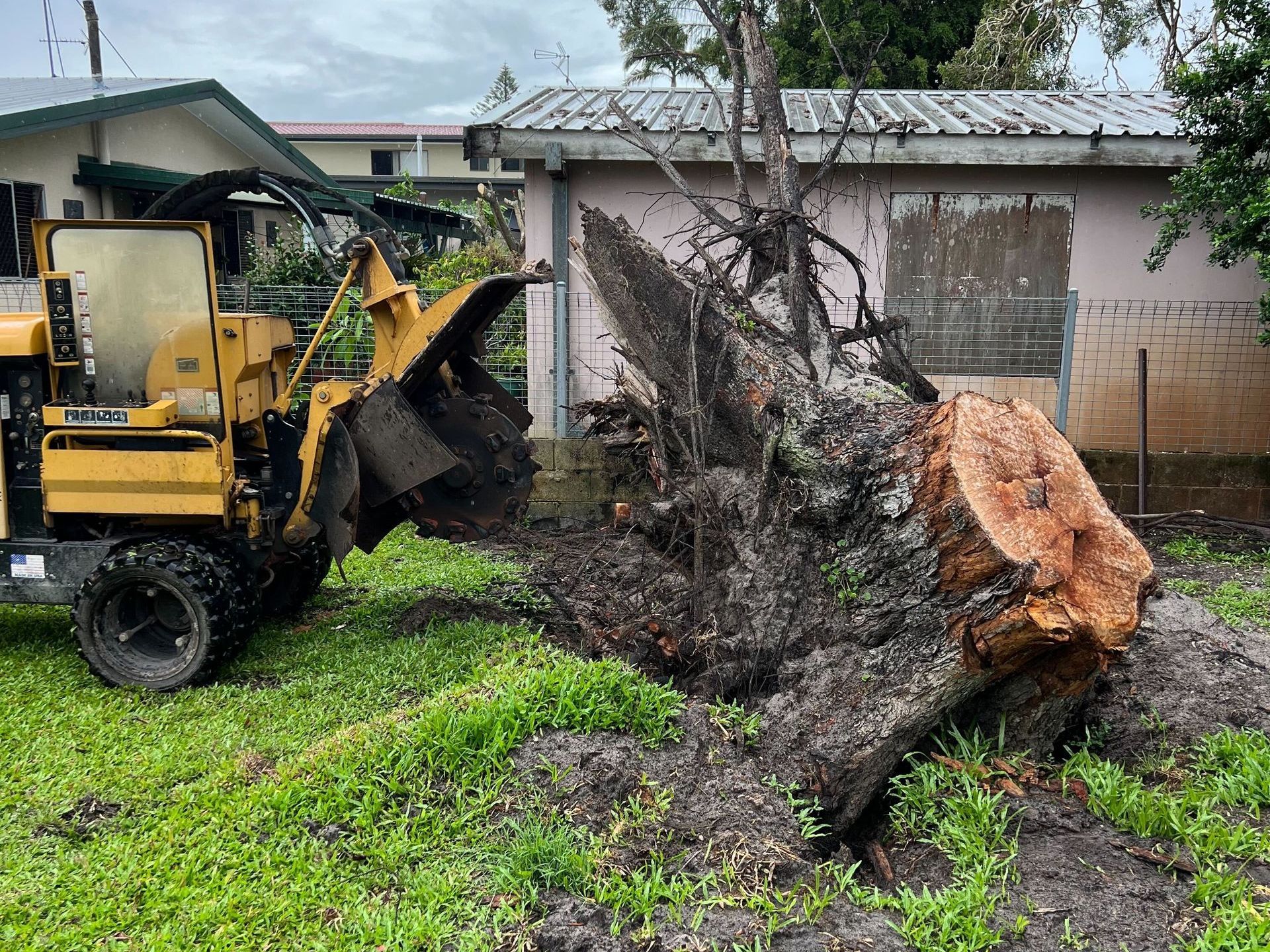 Stump Grinding Runaway Bay