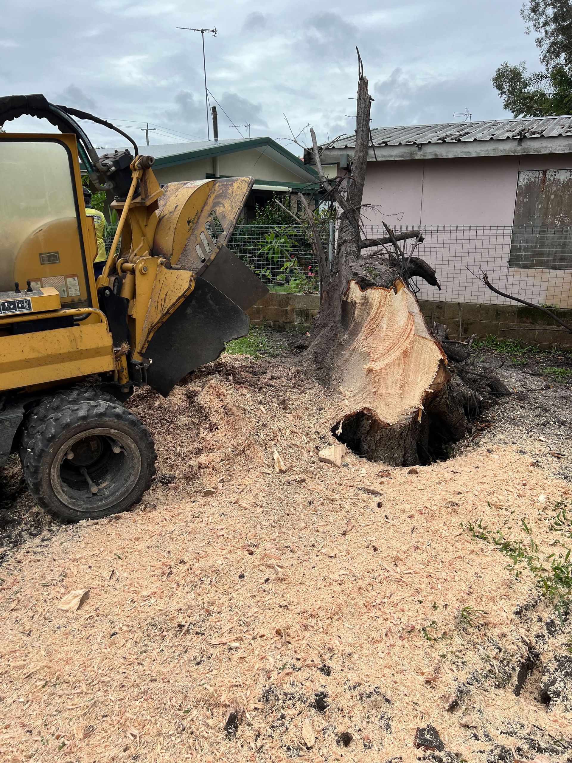 stump grinding