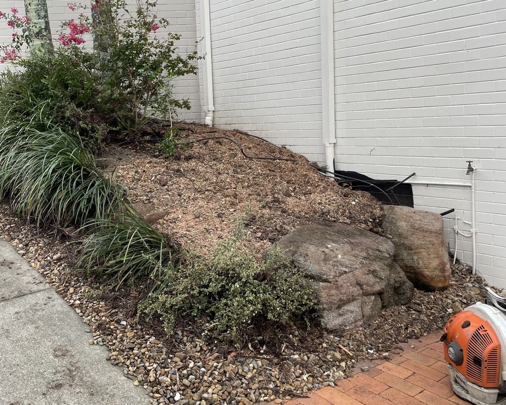 stump grinding Gold Coast