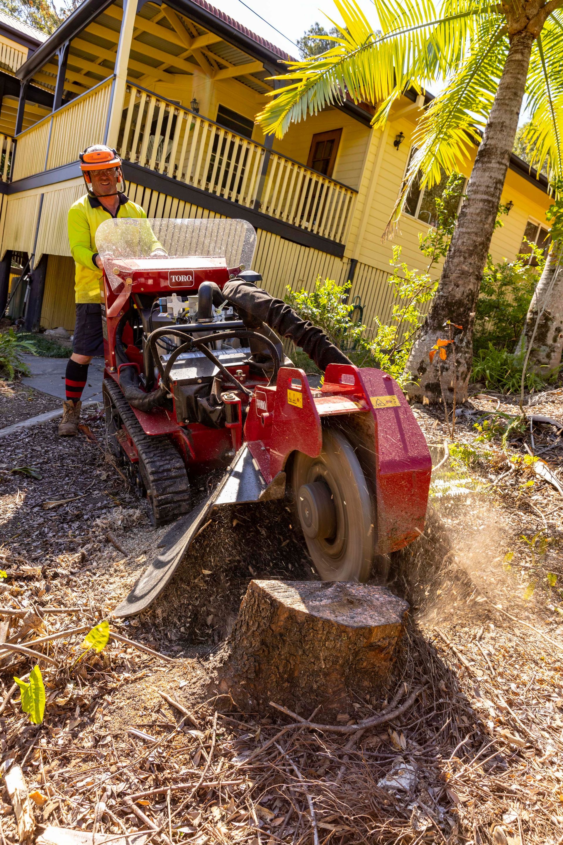 professional stump grinders