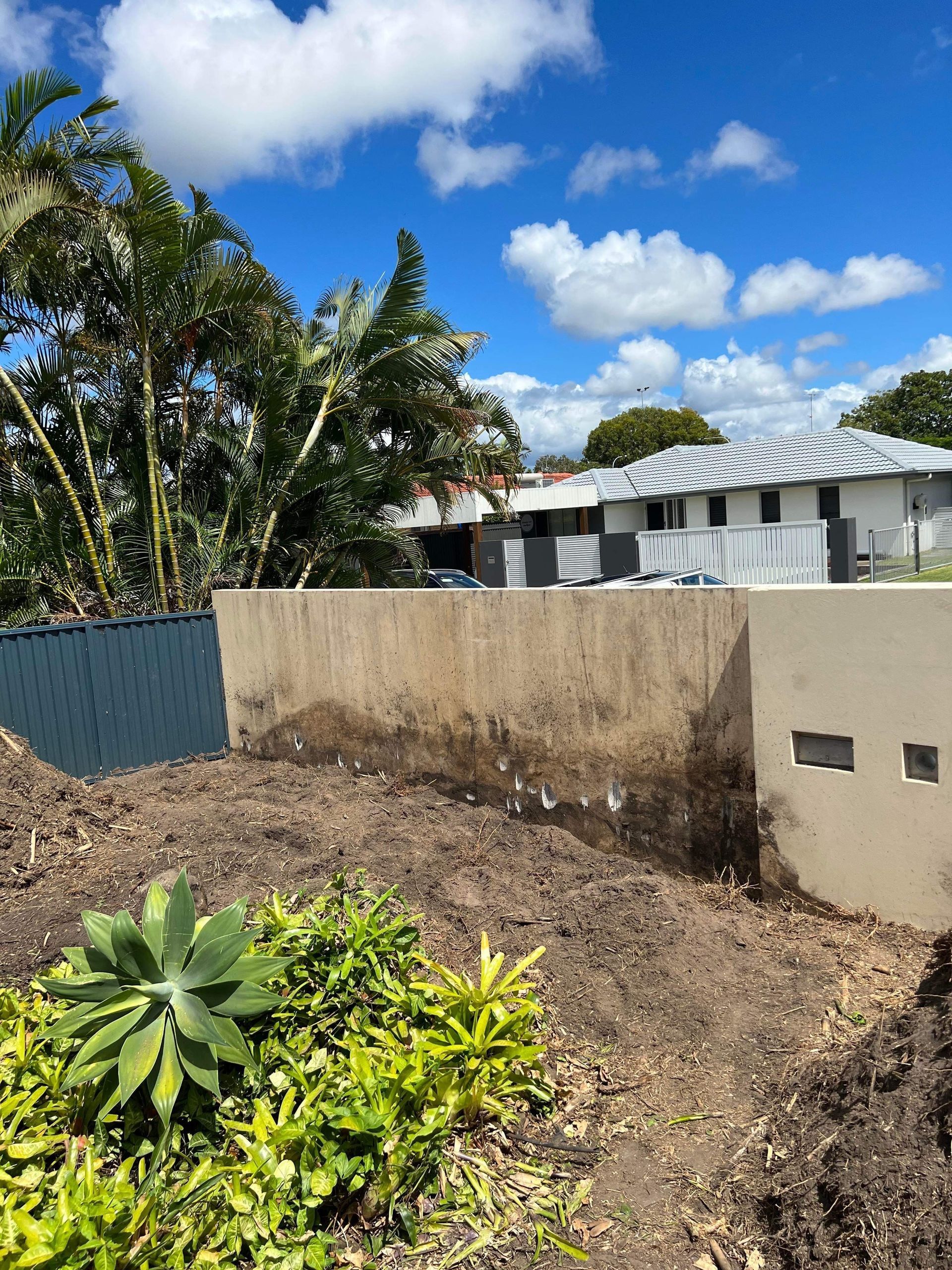 stump grinding Gold Coast