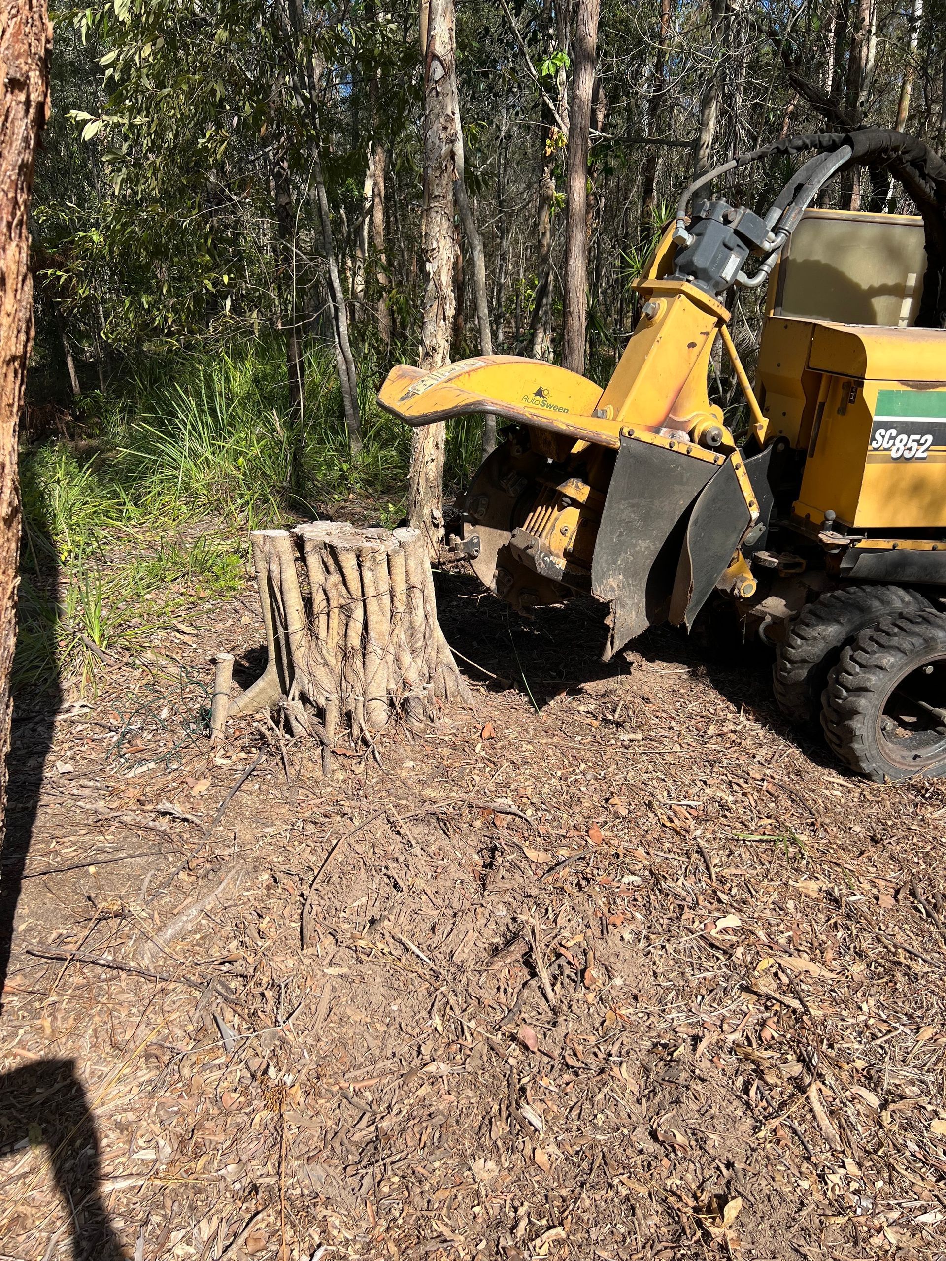 commercial stump grinding specialists